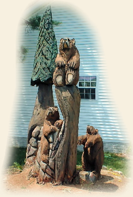 On Site Yard Tree - 14 ft Red Oak Tree