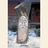  Tree Carving