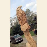 Eagle