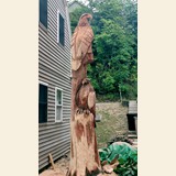 Eagles